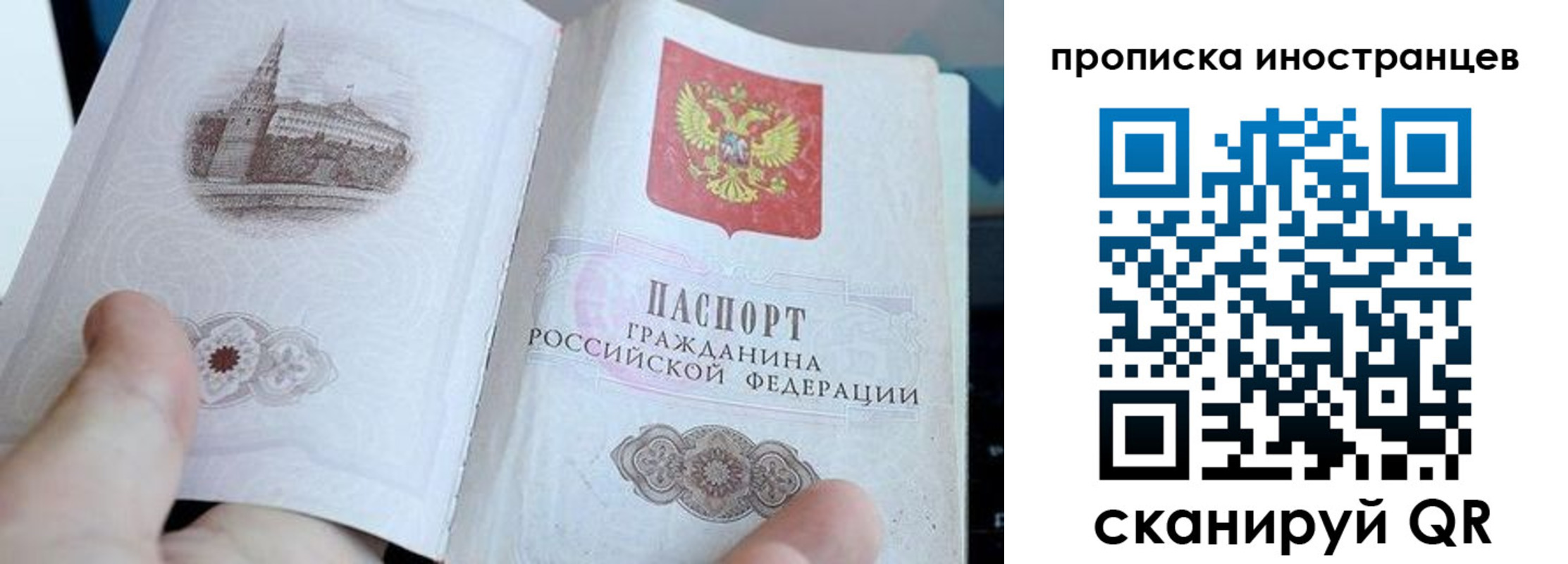 прописка поиск в Вологде